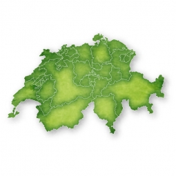  Magnetic map of Switzerland, illustrated, green