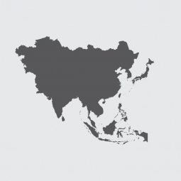  Magnetic map of Asia, illustrated, grey