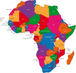  Magnetic map of Africa, illustrated, colored