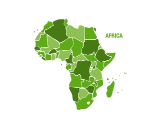  Magnetic map of Africa, illustrated, green