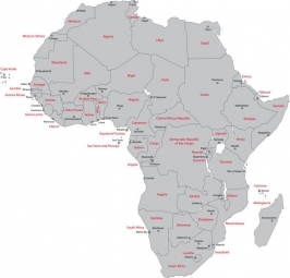  Magnetic map of Africa, political, grey