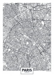  Magnetic map of Paris, illustrated, black and white