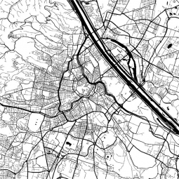  Magnetic map of Vienna, illustrated, black and white