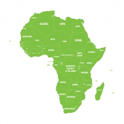  Magnetic map of Africa, illustrated, green