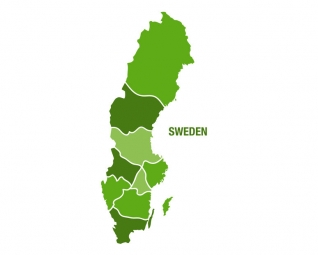  Magnetic map of Sweden, illustrated, green
