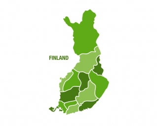  Magnetic map of Finland, illustrated, green