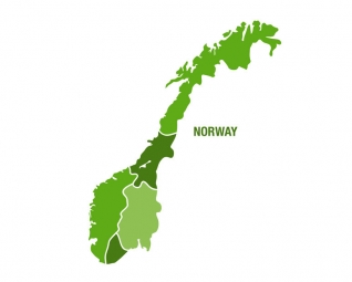  Magnetic map of Norway, illustrated, green