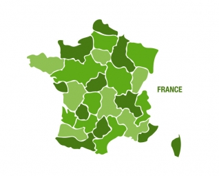  Magnetic map of France, illustrated, green