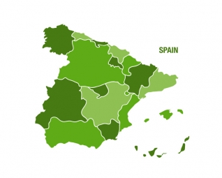  Magnetic map of Spain, illustrated, green
