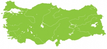  Magnetic map of Turkey, illustrated, green
