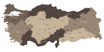  Magnetic map of Turkey, administrative, colored