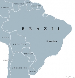 Magnetic map of Brazil, illustrated, grey