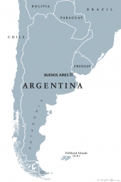  Magnetic map of Argentina, illustrated, grey