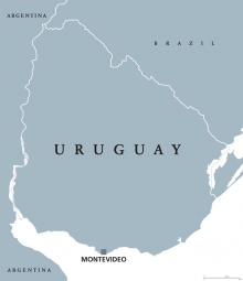  Magnetic map of Uruguay, illustrated, grey