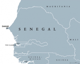  Magnetic map of Senegal, illustrated, grey