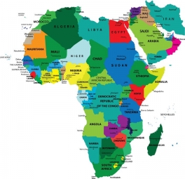  Magnetic map of Africa, illustrated, colored