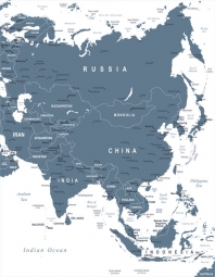  Magnetic map of Asia, illustrated, grey