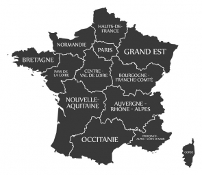  Magnetic map of France, illustrated, black