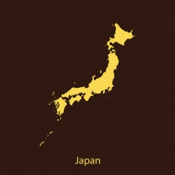  Magnetic map of Japan, illustrated, yellow-brown