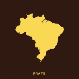  Magnetic map of Brazil, illustrated, yellow-brown