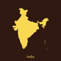  Magnetic map of India, illustrated, yellow-brown