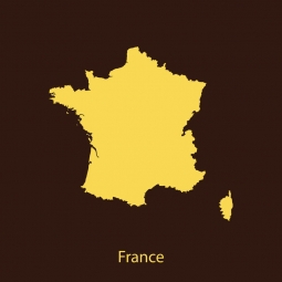  Magnetic map of France, illustrated, yellow-brown