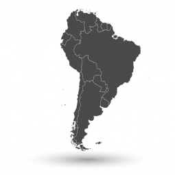  Magnetic map of South America, illustrated, grey