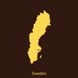  Magnetic map of Sweden, illustrated, yellow-brown