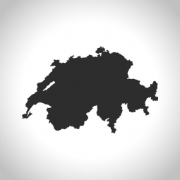  Magnetic map of Switzerland, illustrated, grey