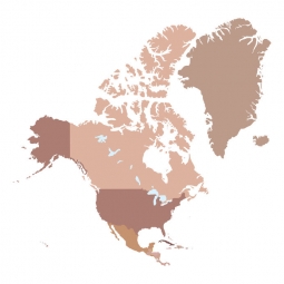  Magnetic map of North America, illustrated, beige