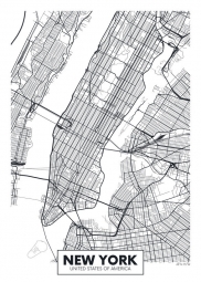  Magnetic map of New york, illustrated, black and white