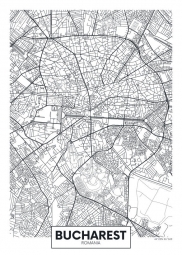  Magnetic map of Bucharest, illustrated, black and white
