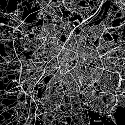  Magnetic map of Brussels, illustrated, black and white