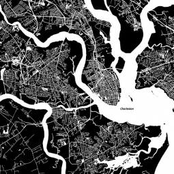  Magnetic map of Charleston, illustrated, black and white