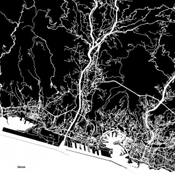  Magnetic map of Genoa, illustrated, black and white