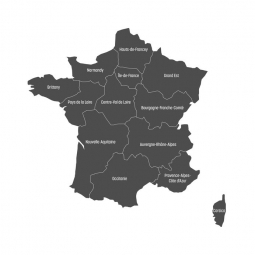  Magnetic map of France, illustrated, grey