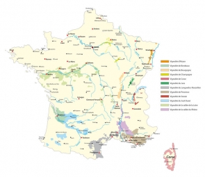  Magnetic map of France, wine, colored