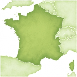  Magnetic map of France, illustrated, green