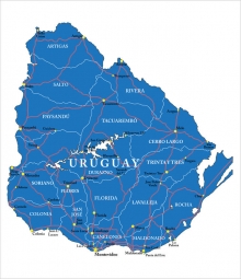  Magnetic map of Uruguay, administrative, blue
