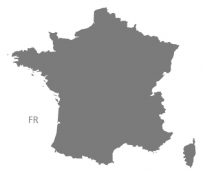  Magnetic map of France, illustrated, grey